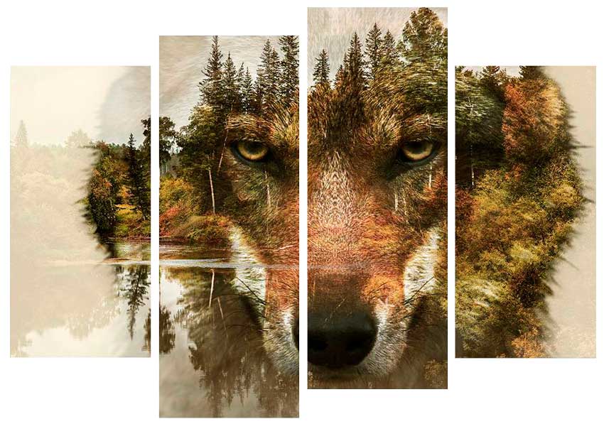 Lobo - tu signo del Horóscopo Celta Animal